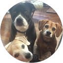 Karen Bowers profile picture