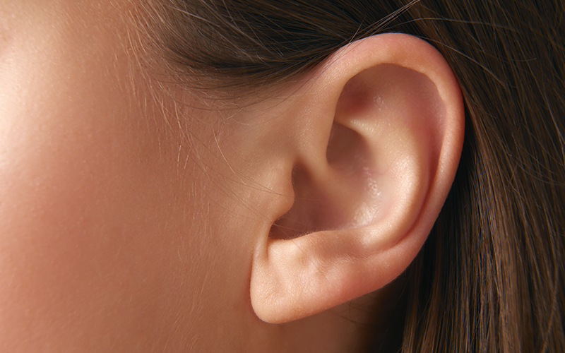 Close-up of ear illustrating otoplasty results, showing improved ear position and natural contour after surgery.