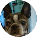 Jessy Woj profile picture
